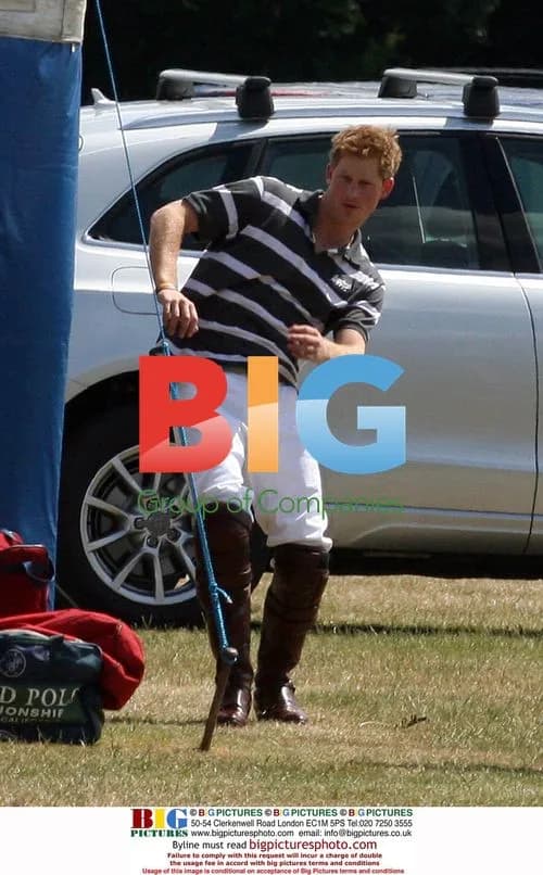 Prince Harry and Prince William play polo