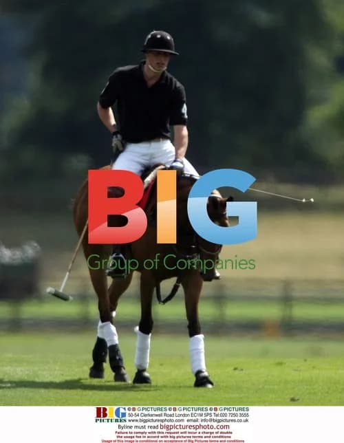 Prince Harry plays polo with Prince William