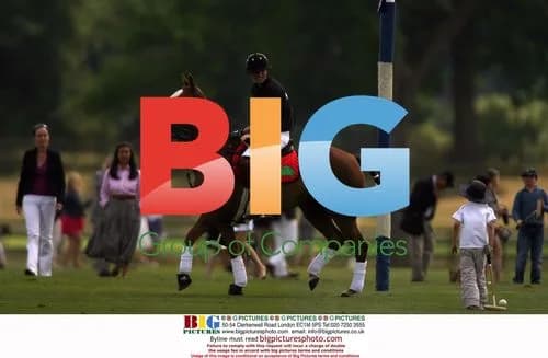Prince Harry plays polo with Prince William