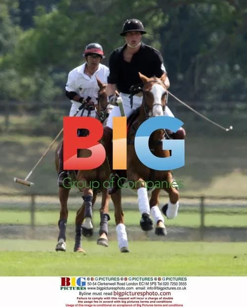 Prince Harry and Prince William play polo