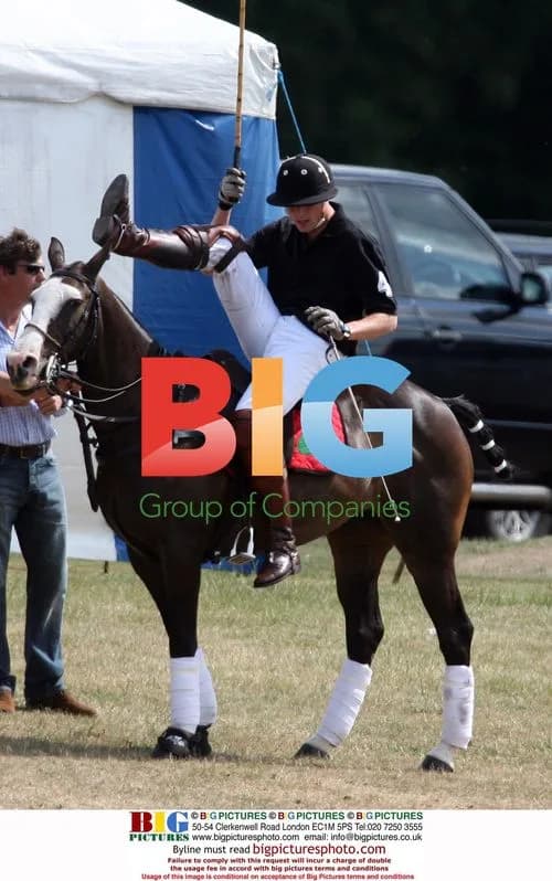 Prince Harry plays polo with Prince William