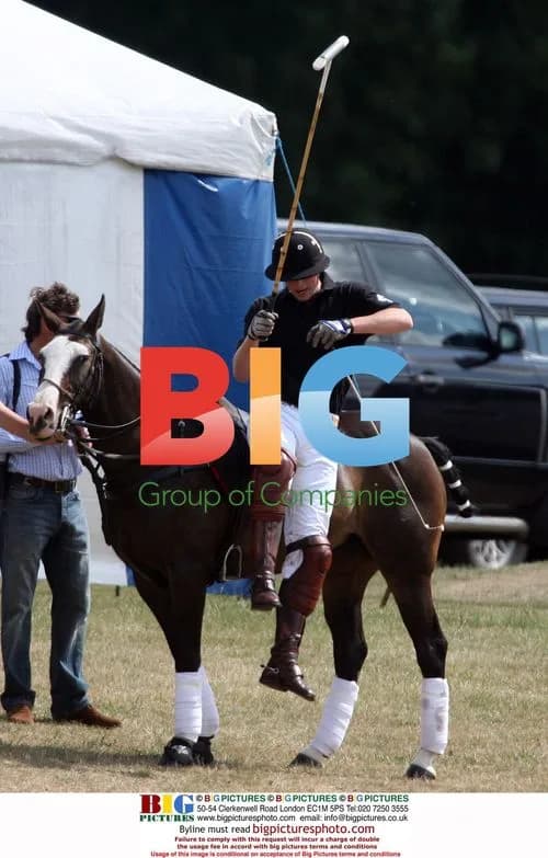 Prince Harry plays polo with Prince William