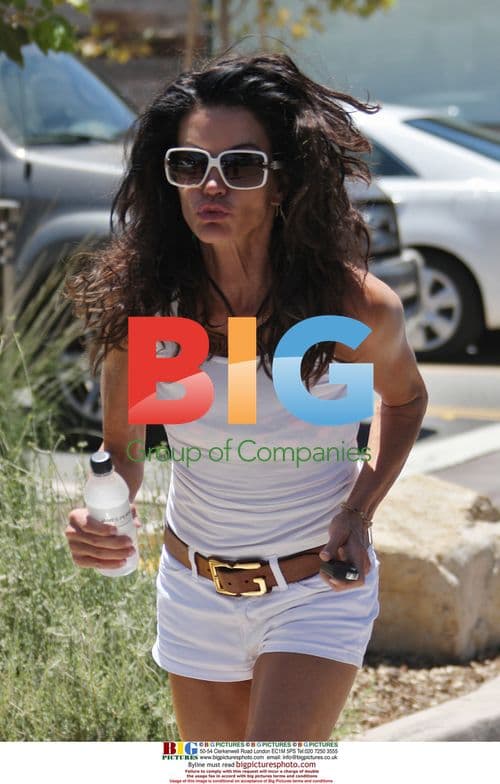 Janice Dickinson at Malibu market