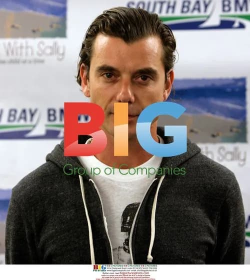 Gavin Rossdale at White Light White Night Charity