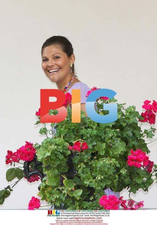 Crown Princess Victoria's 32nd Birthday