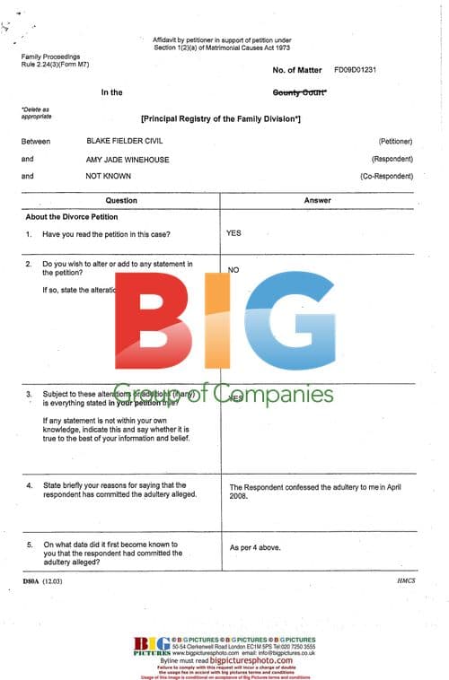 Amy Winehouse Granted Divorce