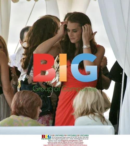 Brooke Shields Hosts Charity Event in Malibu