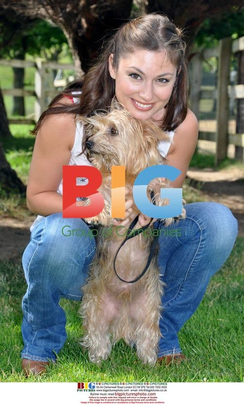 Irish Celebs Microchip Dogs After Theft