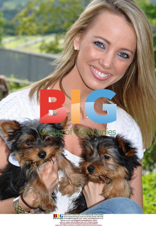 Celebs Microchip Dogs After Thefts