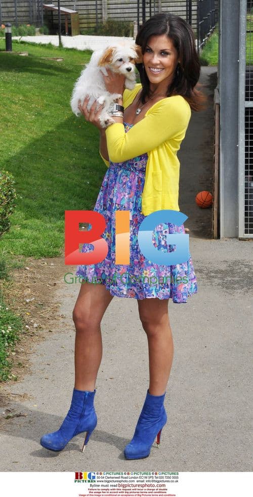 Celebs & Irish Stars Meet at SPCA Event