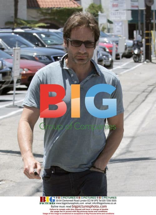 David Duchovny Lunches With a Friend