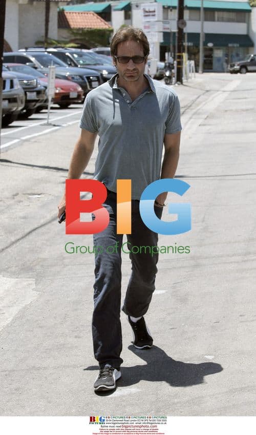 David Duchovny Lunches with Friend in Brentwood