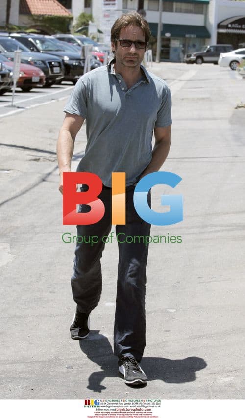 David Duchovny Has Lunch with Friend