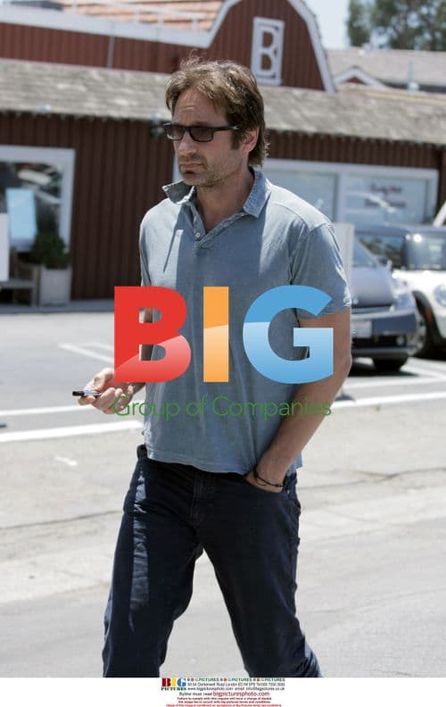 David Duchovny Has Lunch with Friend in LA