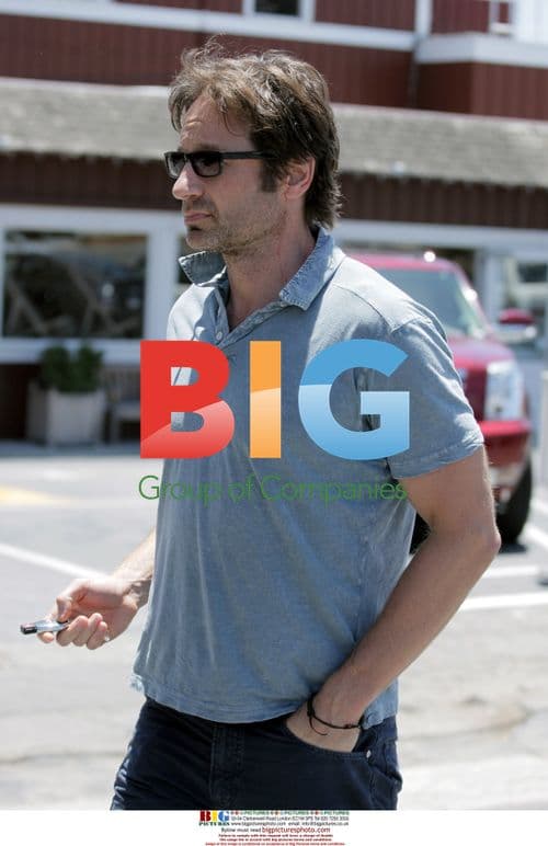 David Duchovny Has Lunch with Friend in LA