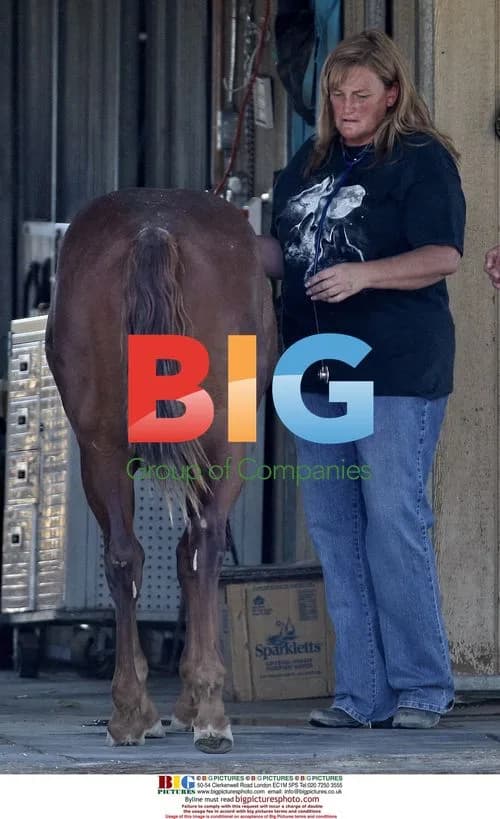 Debbie Rowe Takes Horse Sample