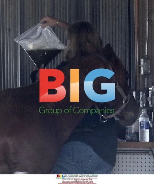 Debbie Rowe takes horse sample