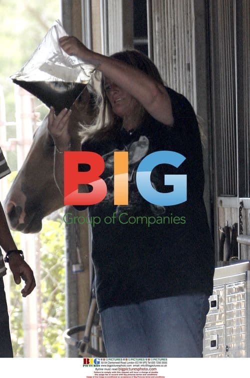 Debbie Rowe takes horse sample