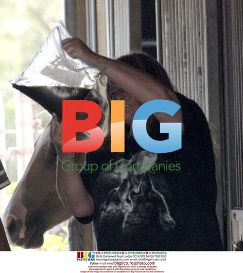 Debbie Rowe Takes Horse Stool Sample