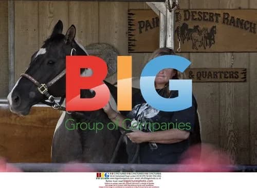 Debbie Rowe takes horse stool sample