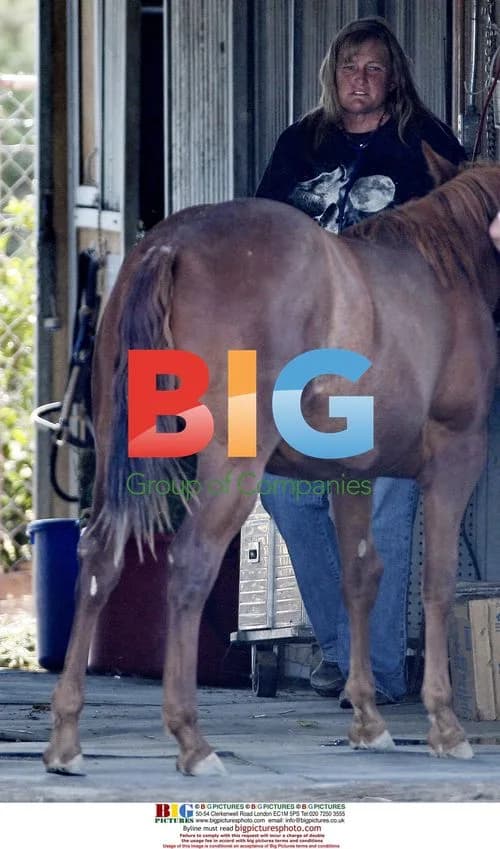 Debbie Rowe takes horse stool sample
