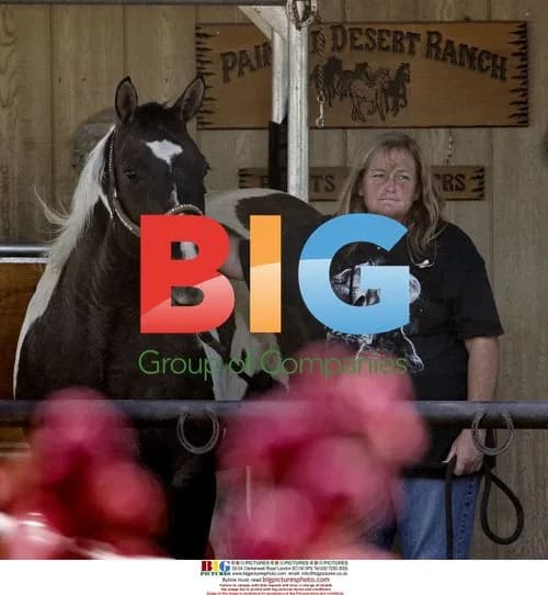 Debbie Rowe takes horse sample for doctor