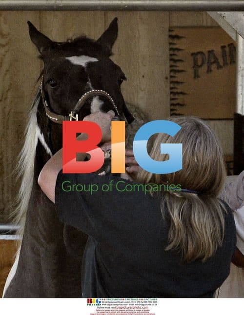 Debbie Rowe takes horse sample for doctor