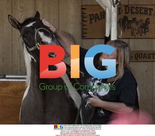 Debbie Rowe takes horse sample in Palmdale