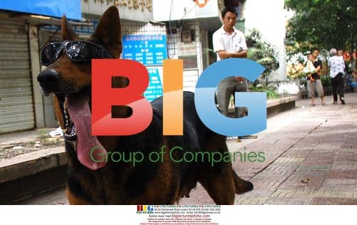 Dog Wearing Sunglasses Carries Water Bottles in Chongqing