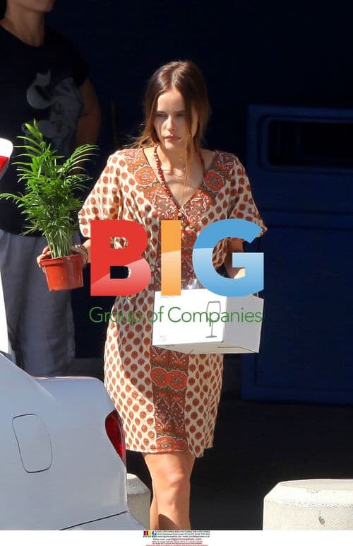 Isabel Lucas moves furniture to new home