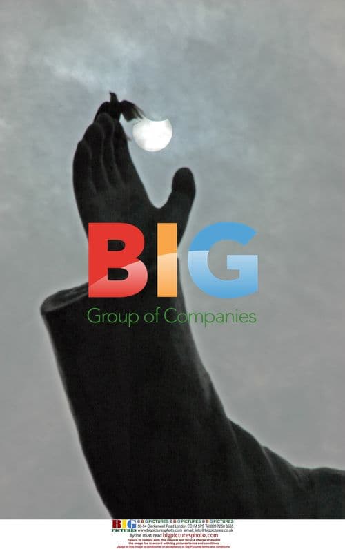 Solar eclipse bird on statue in Wuhan