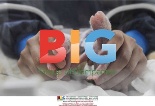 Panda Gives Birth to Twins During Solar Eclipse