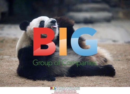 Animals react to solar eclipse in Beijing zoo