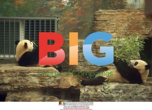 Animals Observe Solar Eclipse in Beijing Zoo