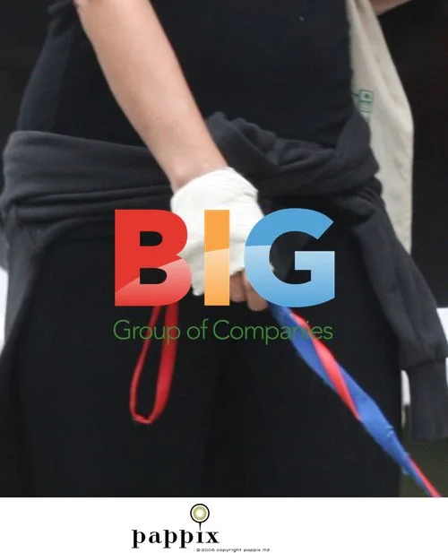Sadie Frost walking dogs in London