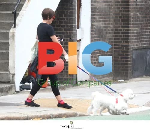 Sadie Frost walks dogs in London