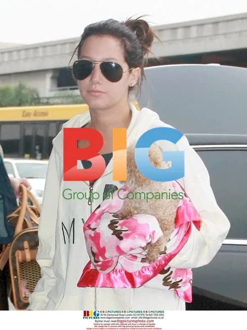 Ashley Tisdale Catches Flight with Dog