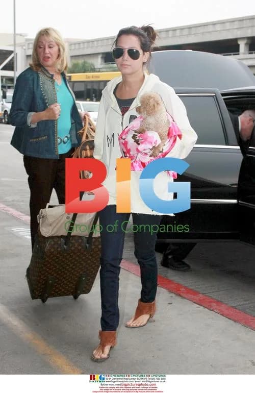 Ashley Tisdale at LAX with dog