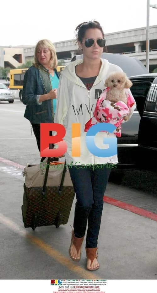 Ashley Tisdale and dog at LAX
