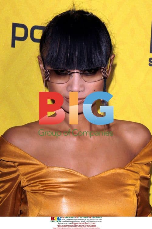 Bai Ling attends 'Bollywood Hero' premiere