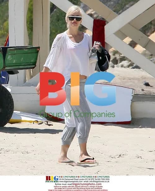 Gavin Rossdale and Gwen Stefani with Sons