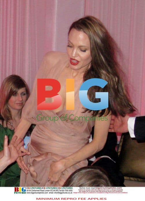 Angelina Jolie and Brad Pitt at Inglourious Basterds Party