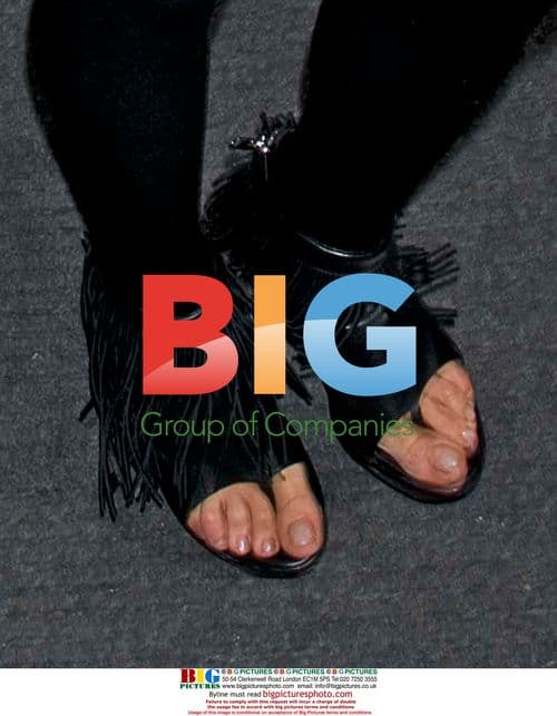 Lindsay Lohan Deception Plan