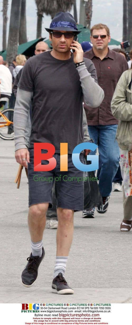 Duchovny and Handler film Californication