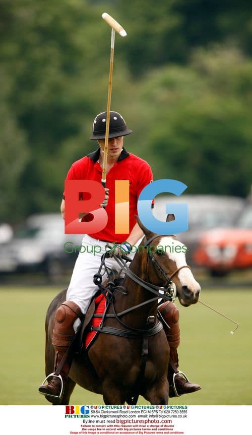 Princes William and Harry play polo