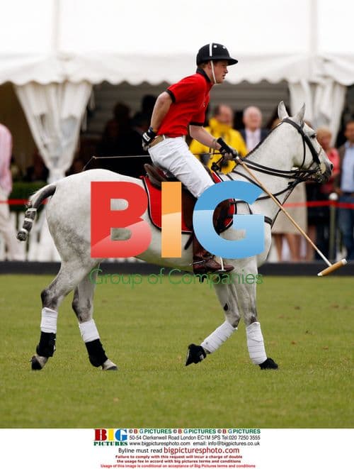 Prince William and Harry play polo