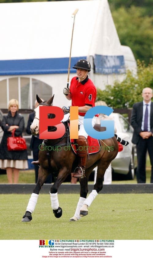 Prince William and Harry play polo