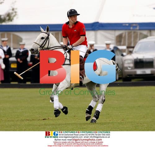 Prince William and Harry play polo
