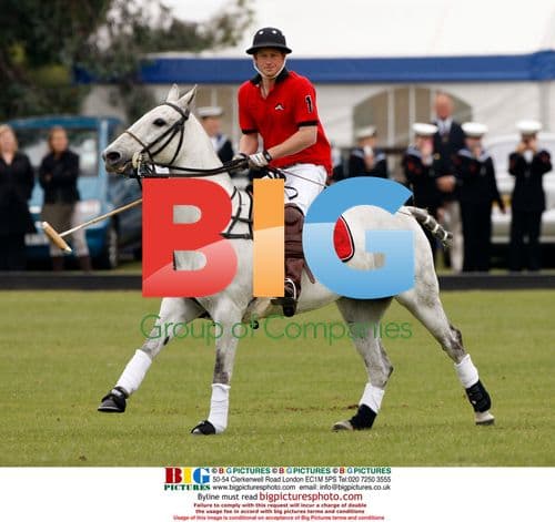 Prince William and Harry play polo