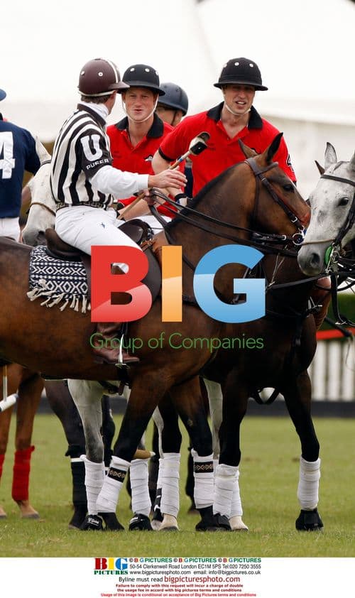 Prince William and Harry play polo in London